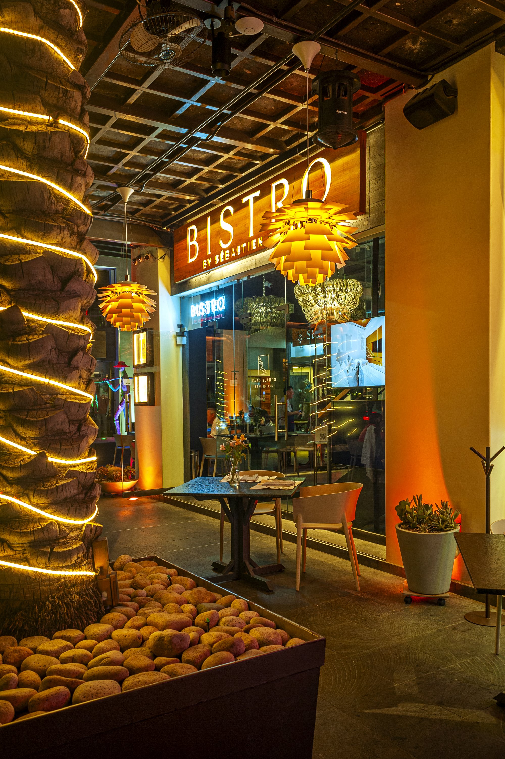 Bistro by Sebastien Agnes restaurant in San Jose Del Cabo, Mexico