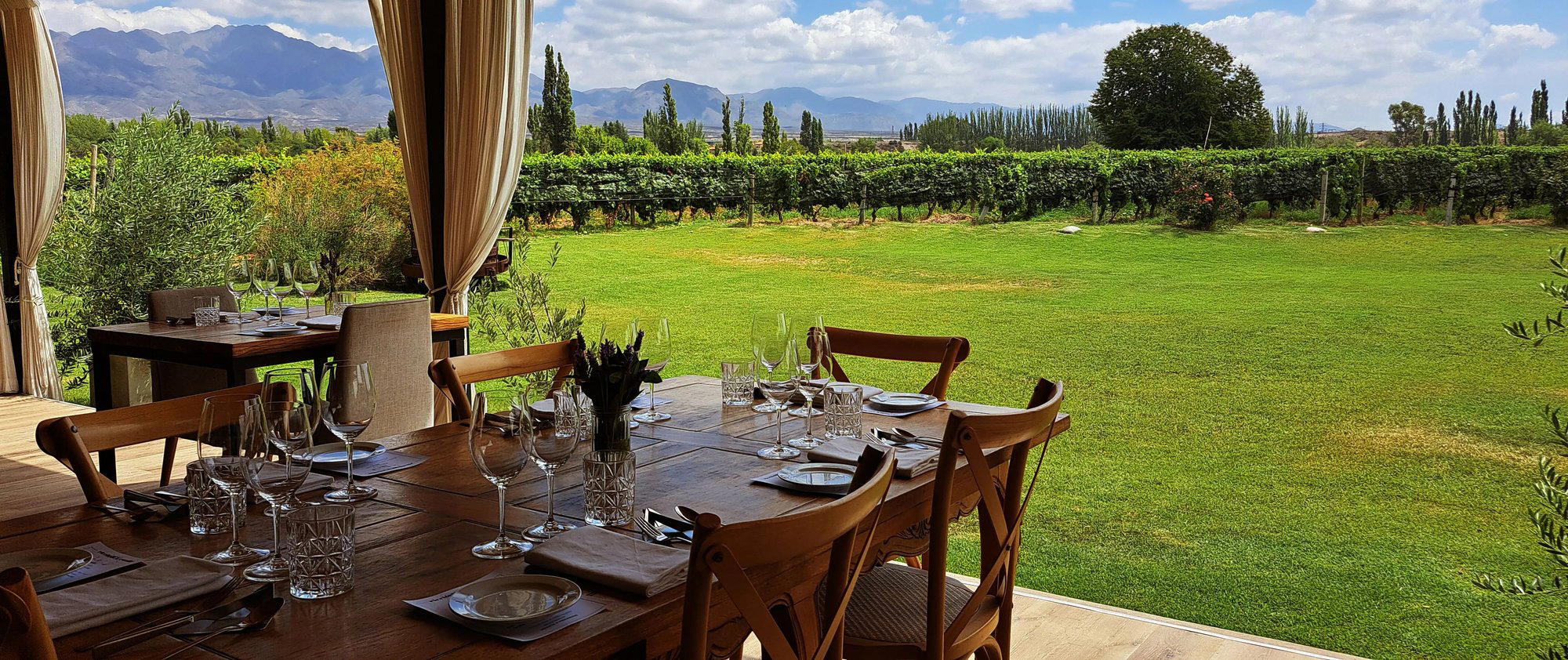 Riccitelli Wines, Las Compuertas, Argentina