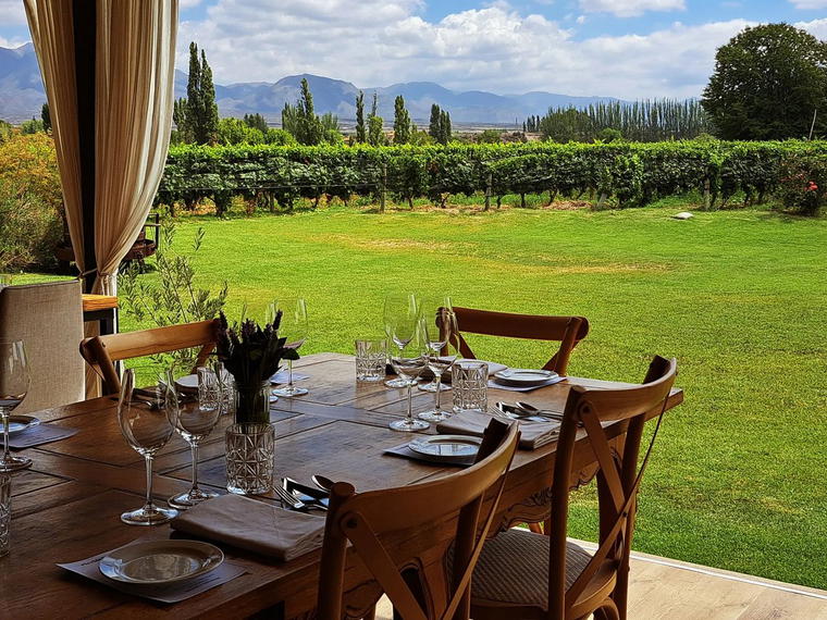 Riccitelli Wines, Las Compuertas, Argentina