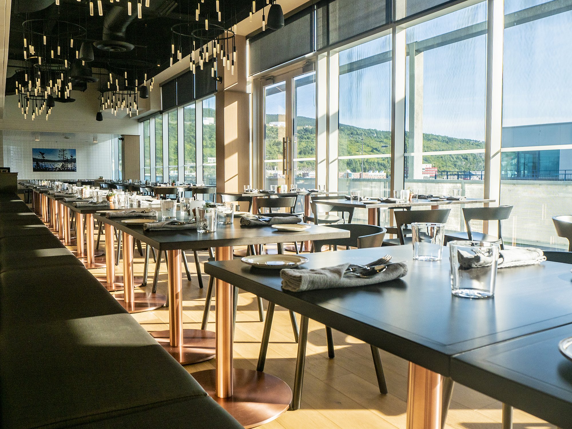 Terre Restaurant restaurant in St John S, Canada