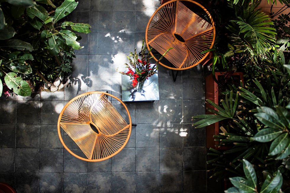 The Red Tree House, Restaurant in Mexico City