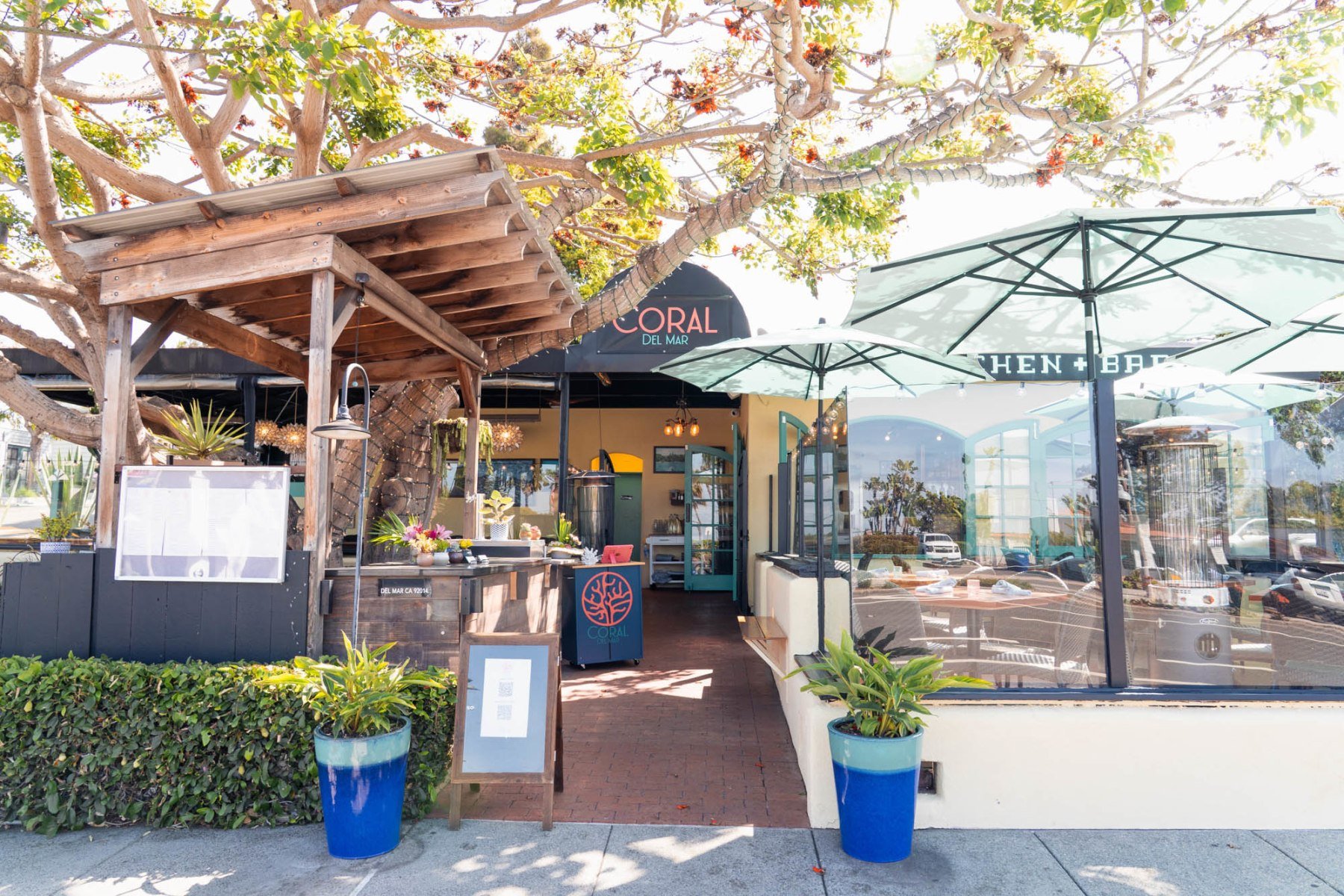 Coral Del Mar