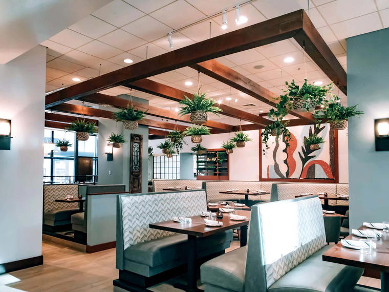 noa, Minneapolis, United States