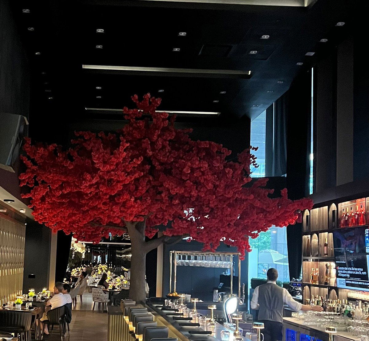 Casa 73, Restaurant in Toronto