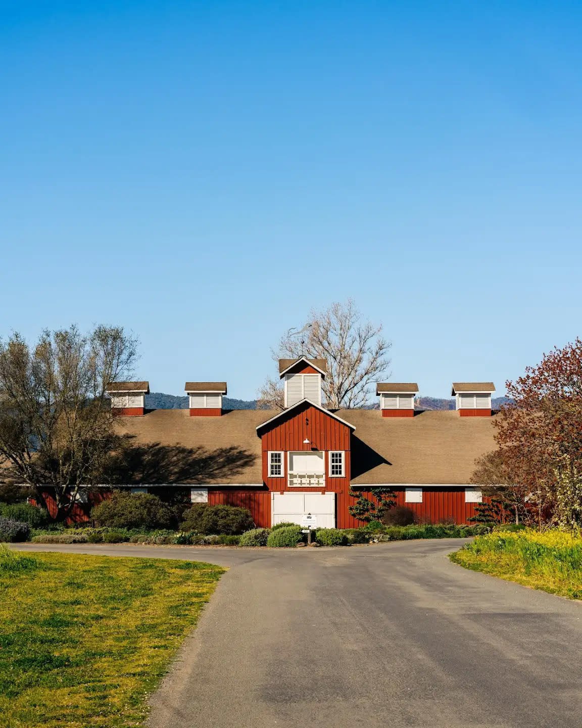 Frog's Leap Winery restaurant in Napa County, United States