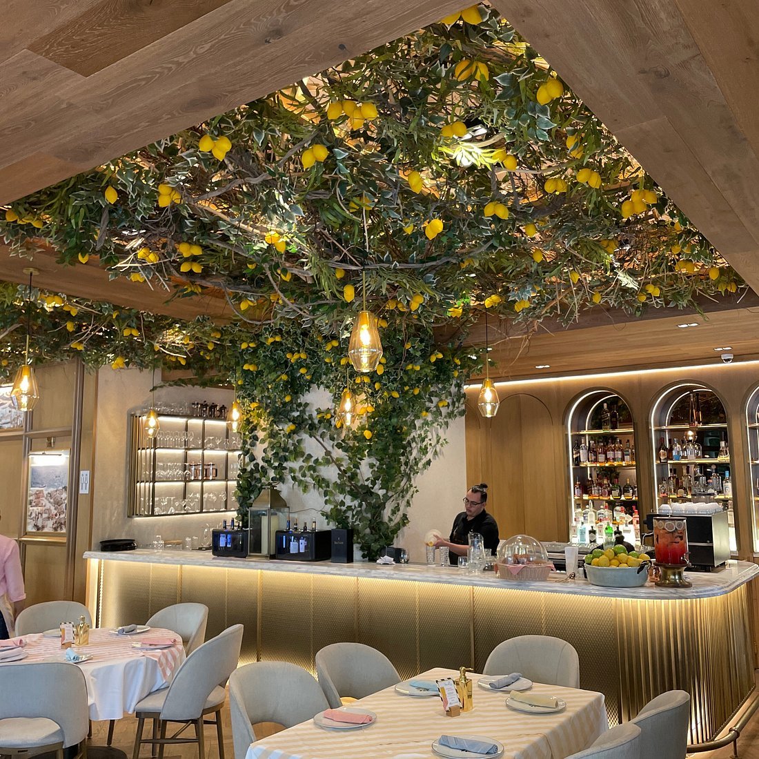 Mandolina Roma restaurant in Mexico City, Mexico