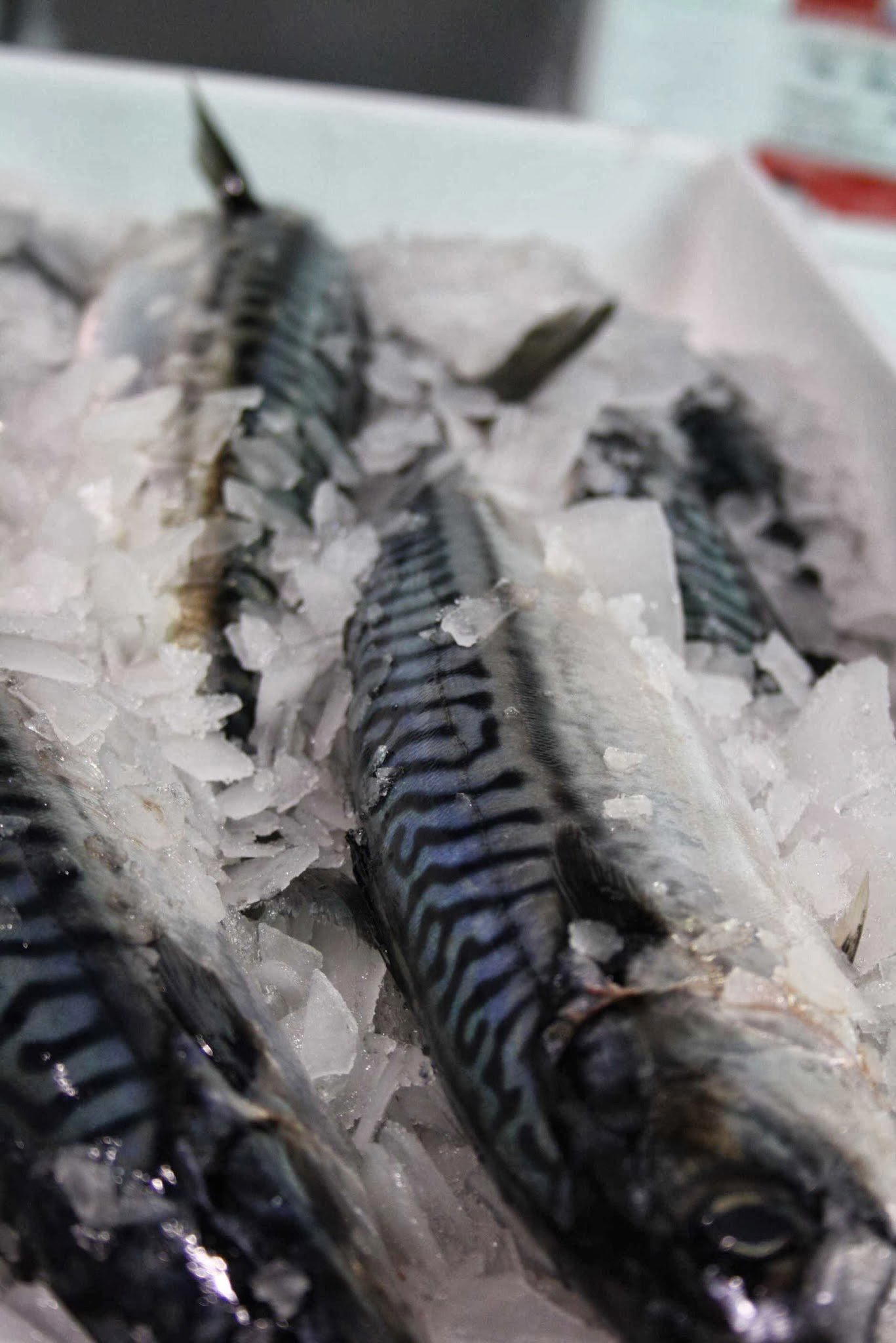 James Knight of Mayfair | London based Fresh and Frozen Fish and Seafood Suppliers restaurant in London, United Kingdom