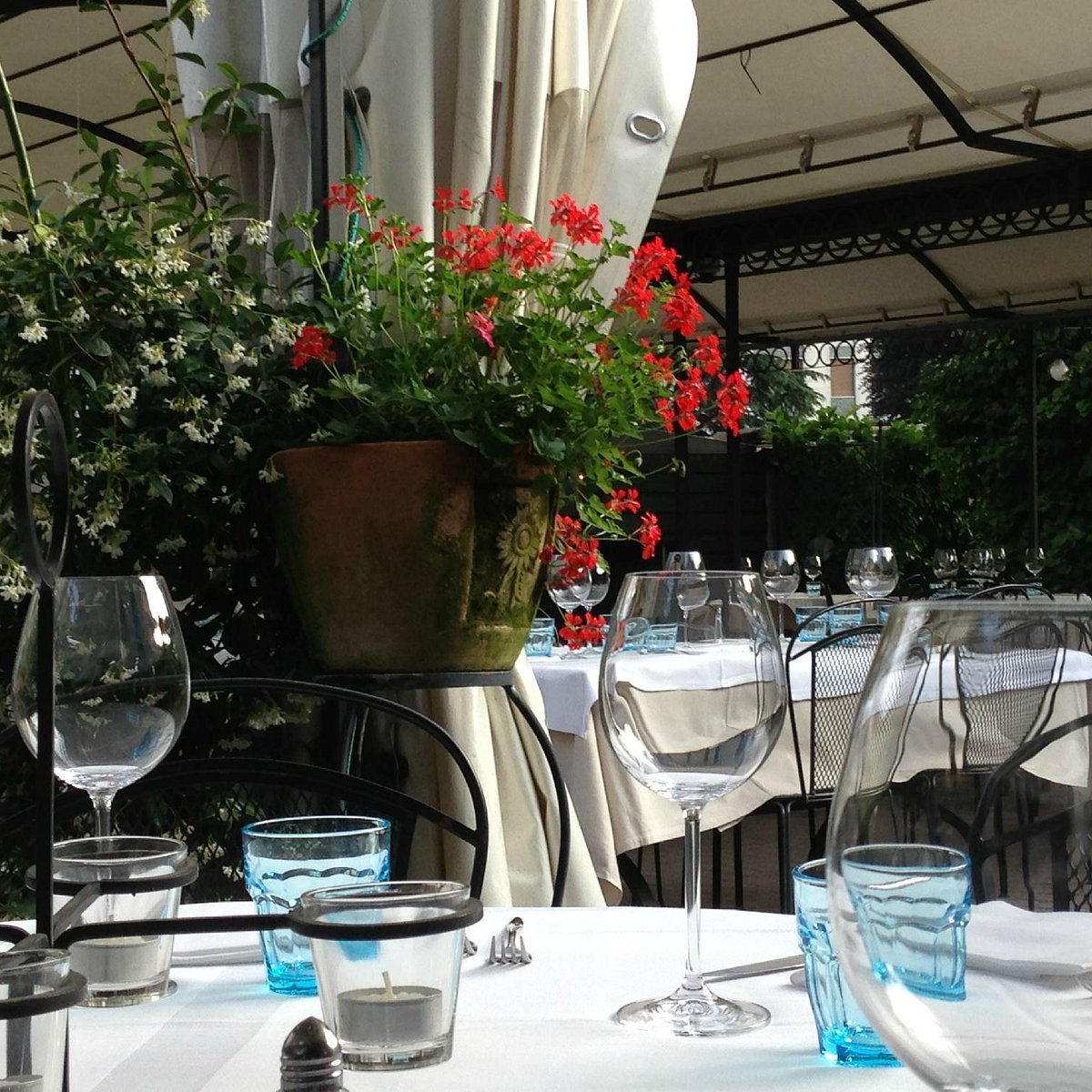 osteria olga