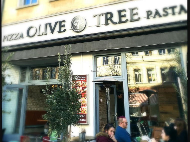 Oliven Baum, Leipzig, Germany