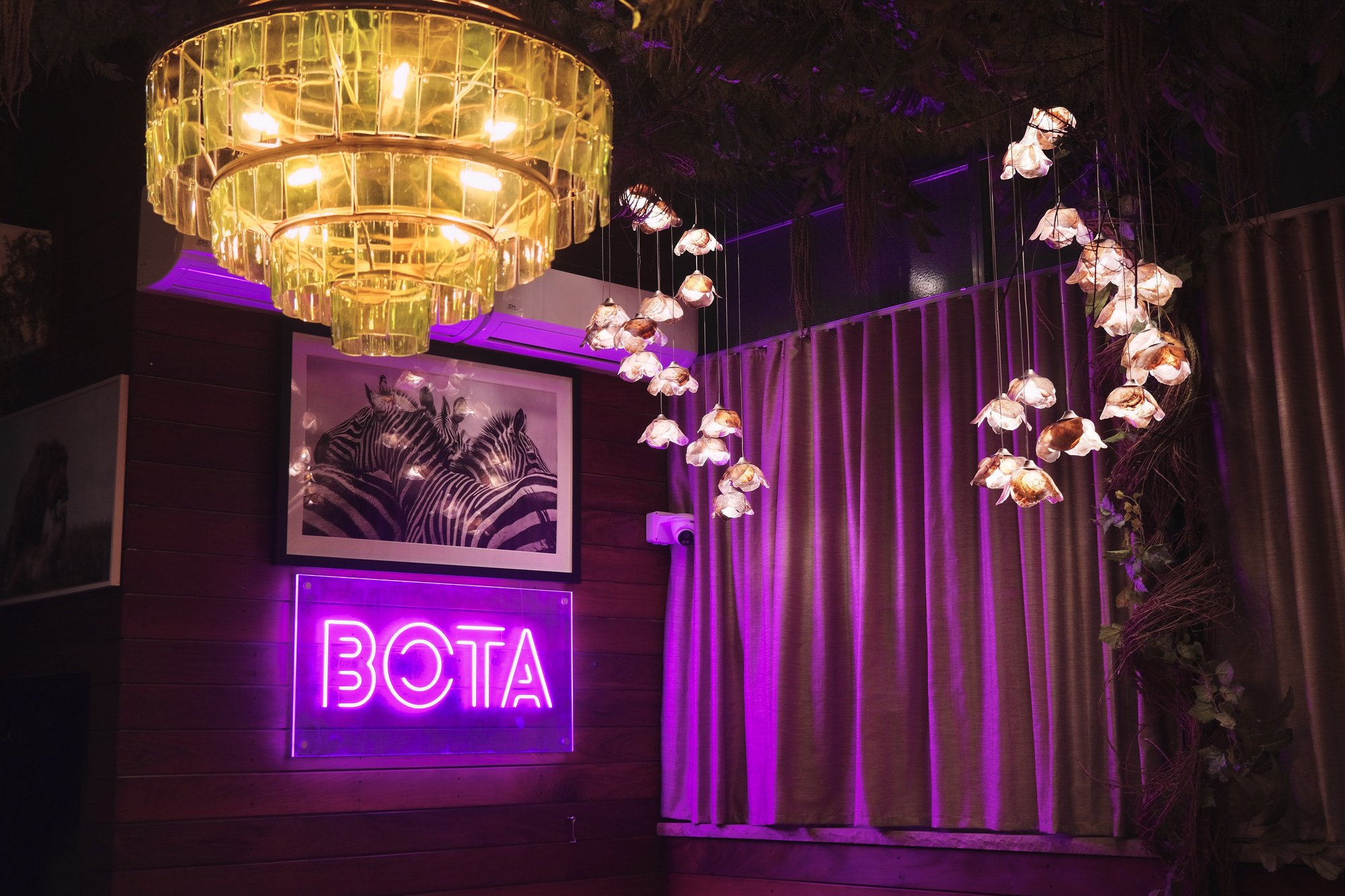 BOTA Supper Club, Restaurant in New York City