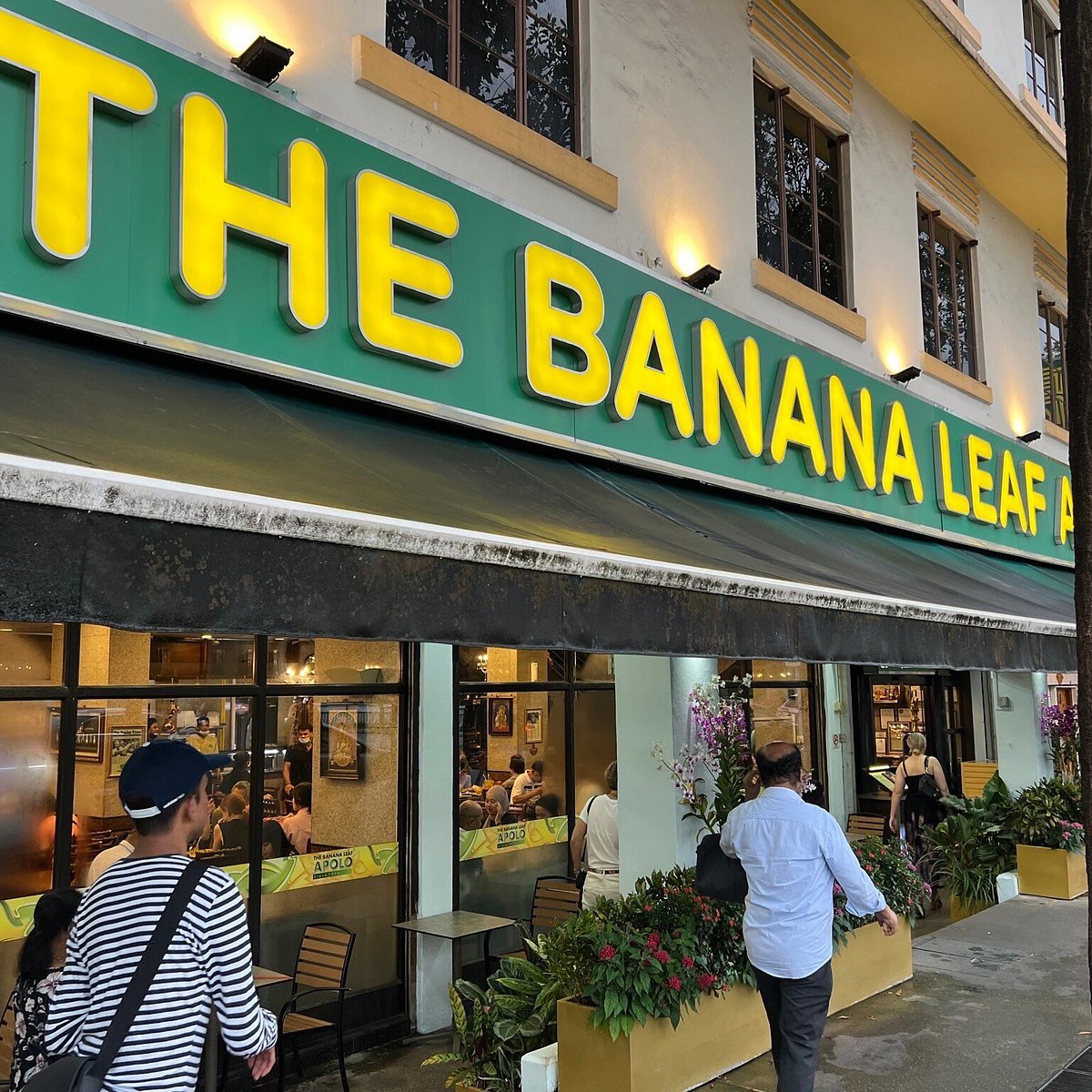 Banana Leaf Apolo