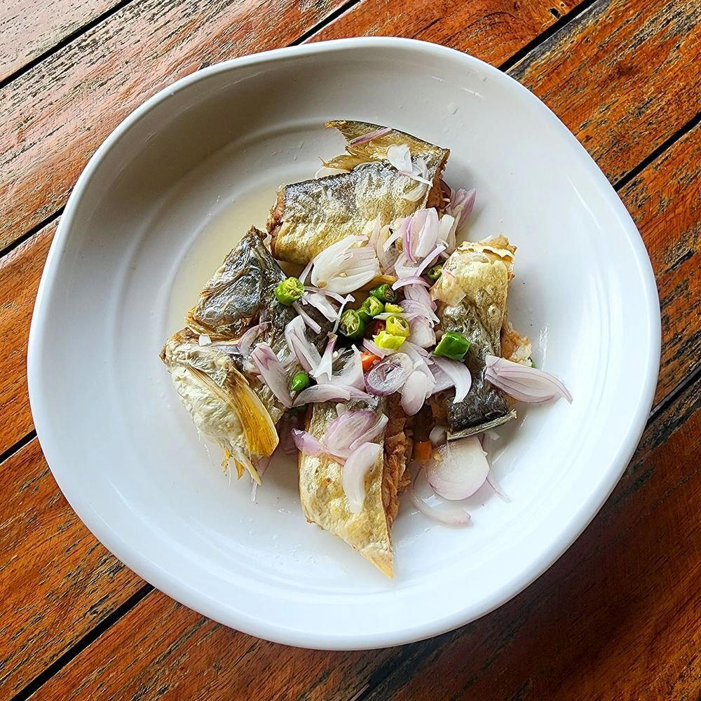 Pa Ting (Don Sak), Surat Thani, Thailand