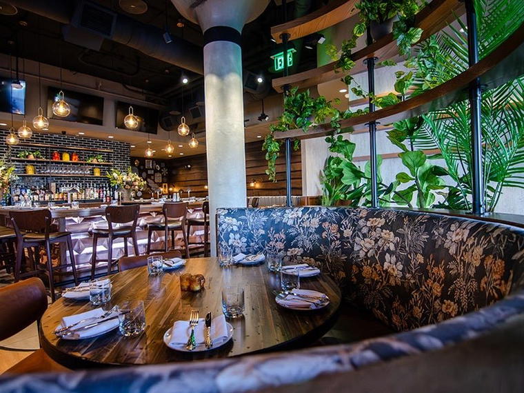 Alice and Monarch, Boston, United States