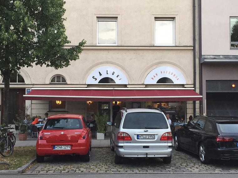 Saluki, Munich, Germany