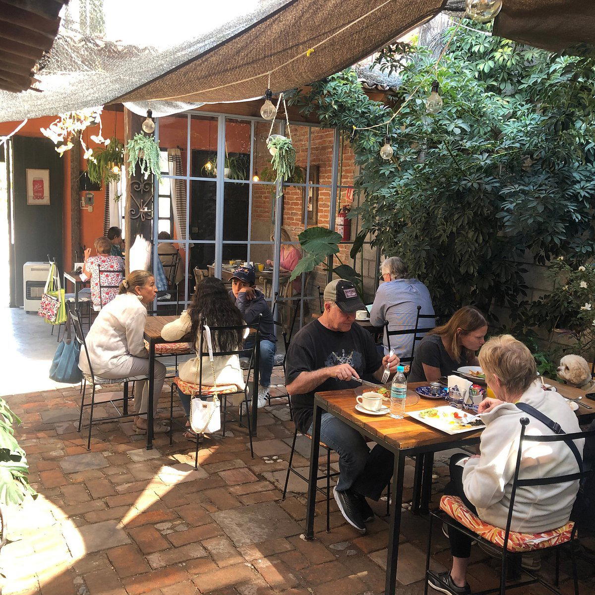 Cien 24 restaurant in San Miguel de Allende