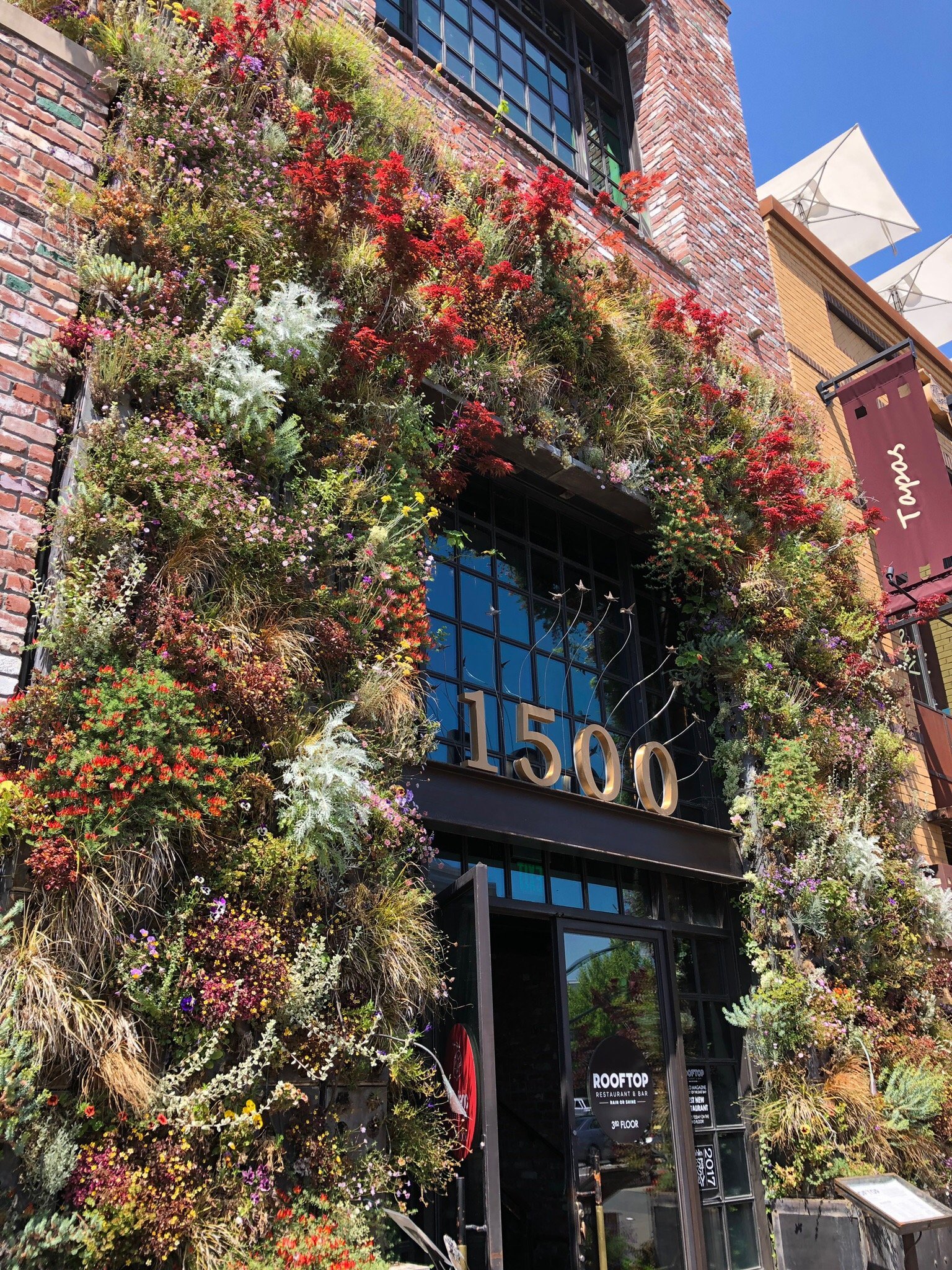 Creek House Dim Sum Restaurant restaurant in Walnut Creek, United States