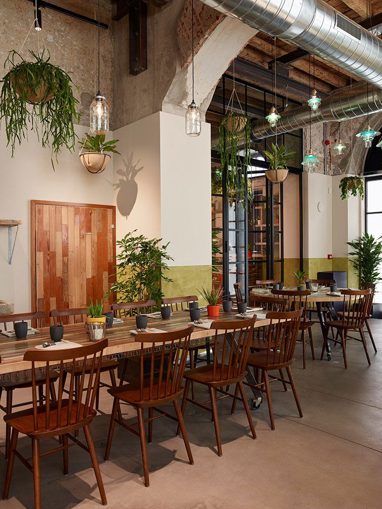 To80 Vegan, Restaurant in Cologne