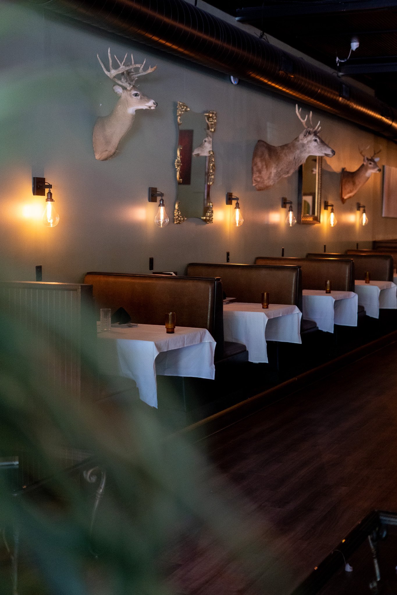 The Stag Chophouse restaurant in Gainesville
