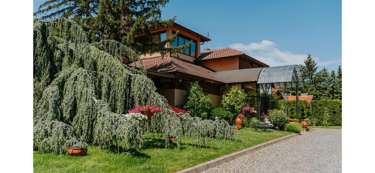 Vinska Kuca Kovacevic, Restaurant in Irig