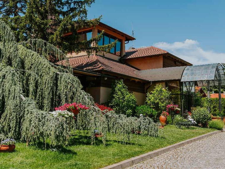 Vinska Kuca Kovacevic, Irig, Serbia