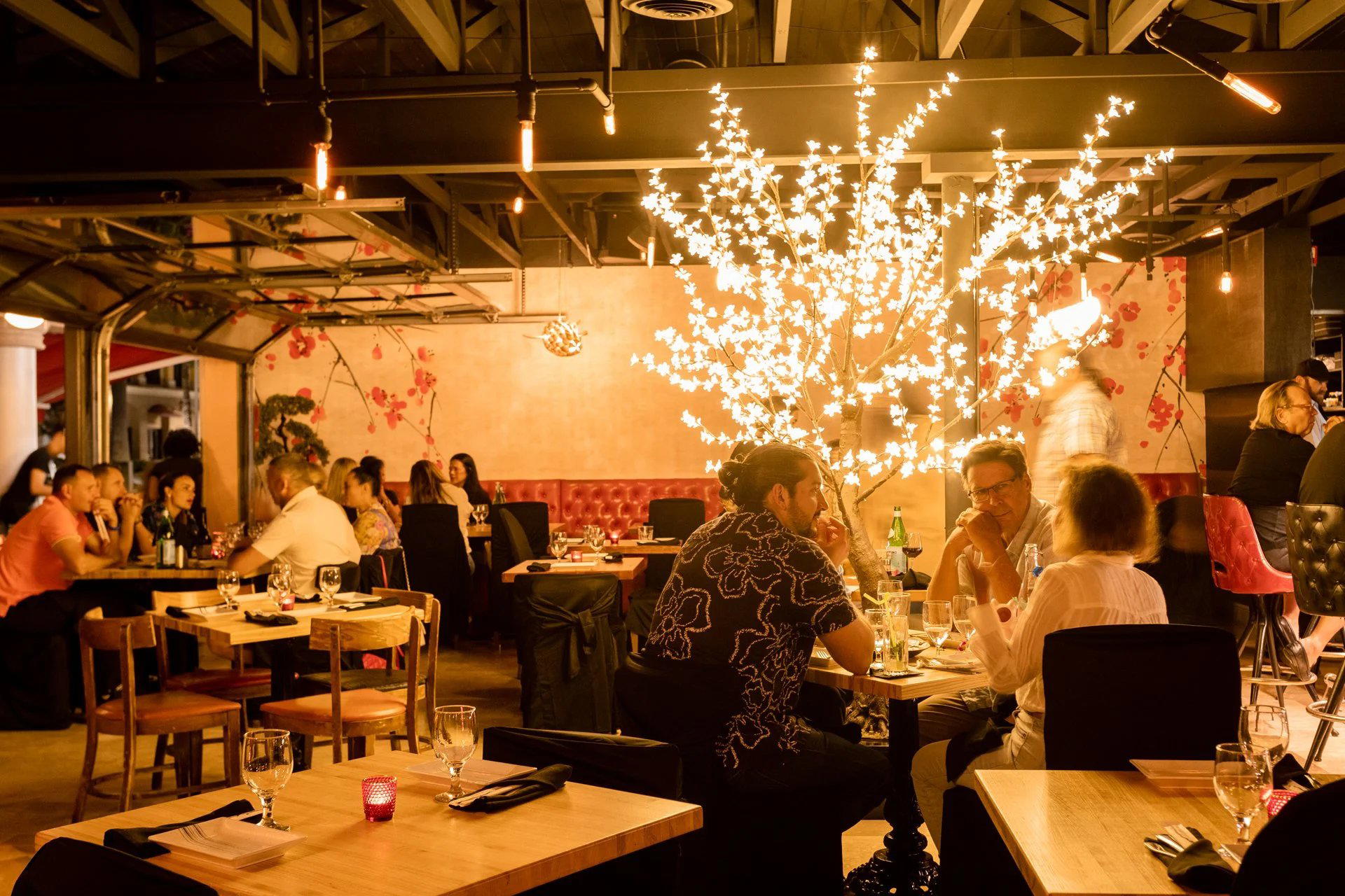 AlleyCat, Boca Raton, United States