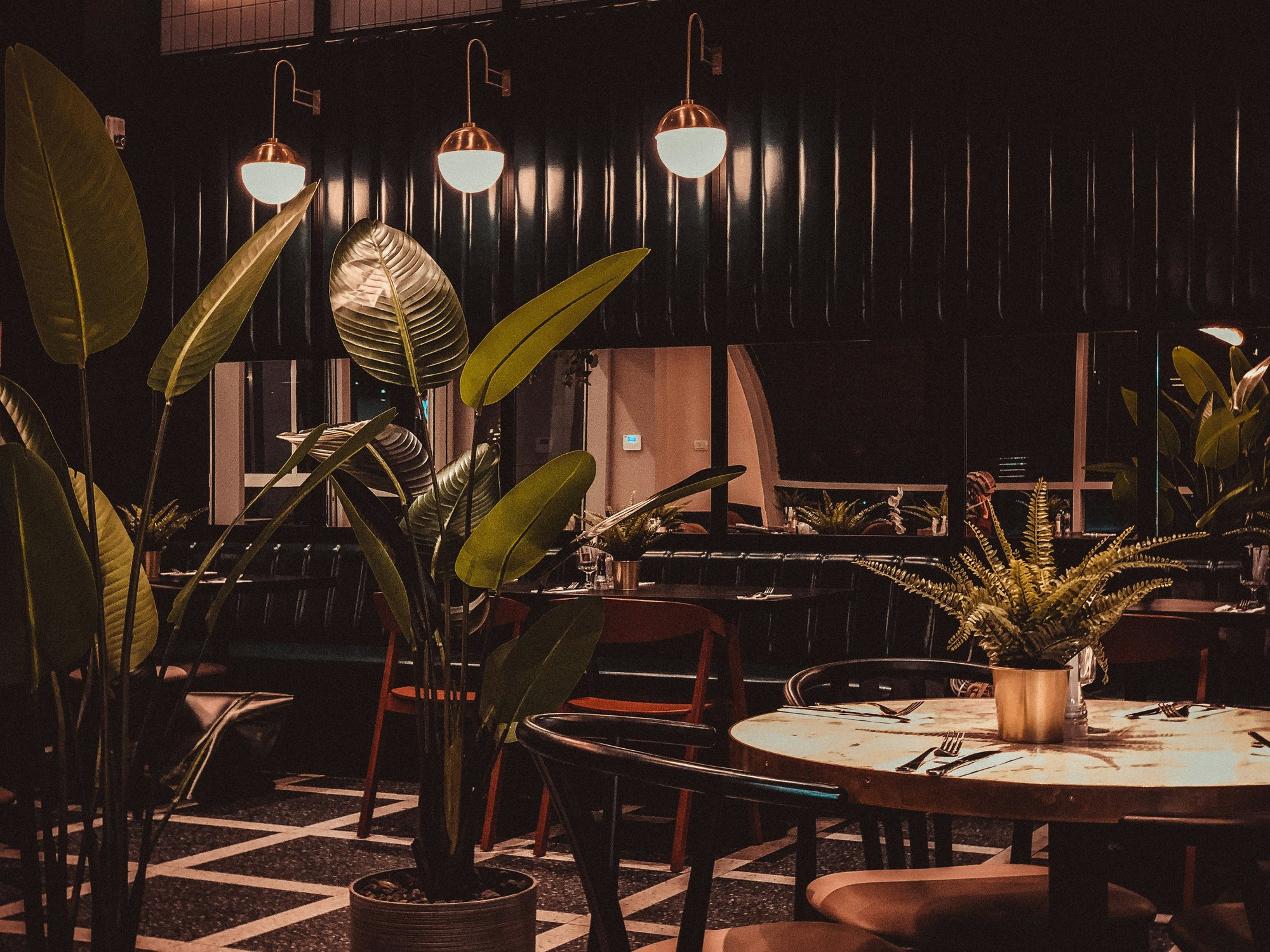 Selva, Restaurant in Washington DC