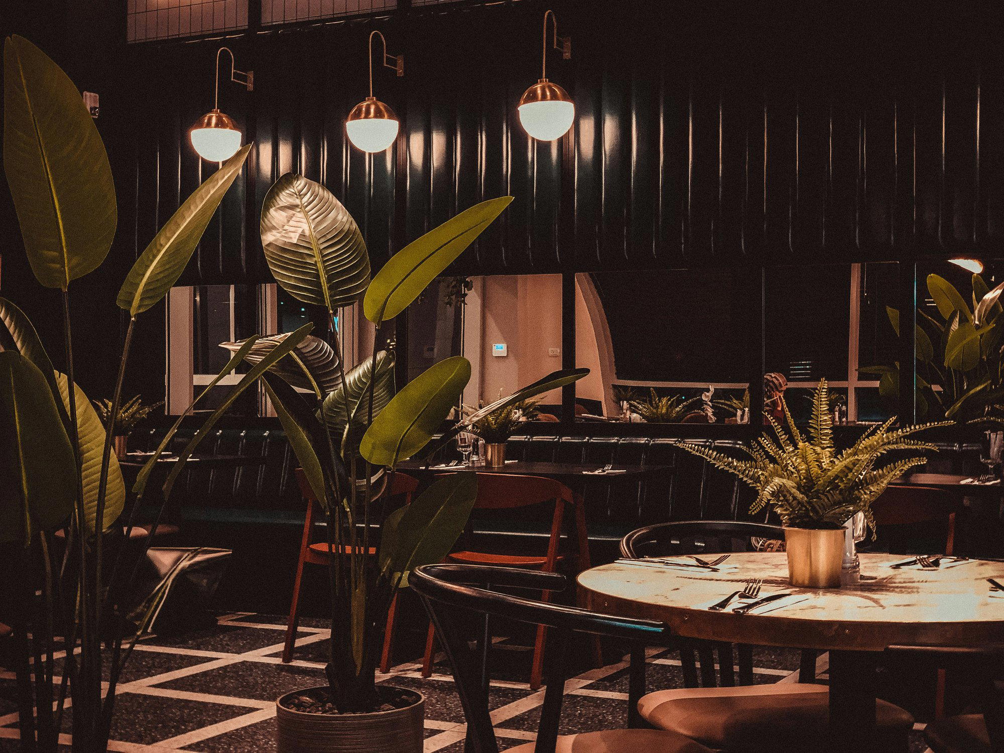 Selva restaurant in Washington DC, United States
