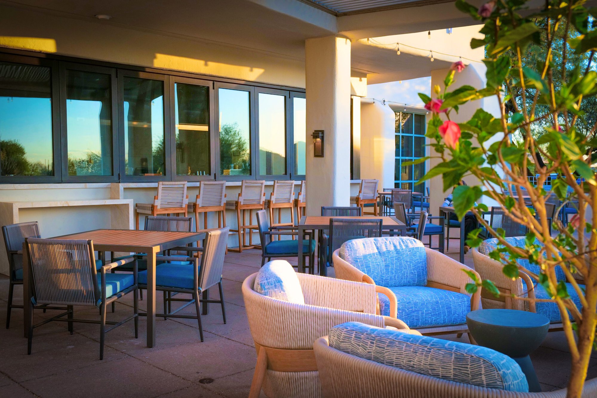 Creosote-Sonoran Kitchen and Cocktails restaurant in Tucson
