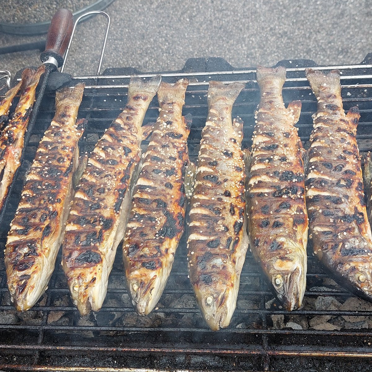 Fischerei Trawöger - Dorfner