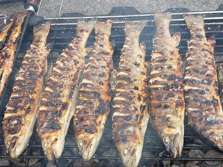 Fischerei Trawöger - Dorfner, Altmünster, Austria