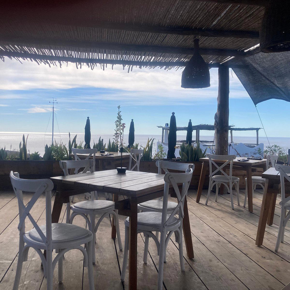 NEST Baja Restaurant restaurant in San José del Cabo