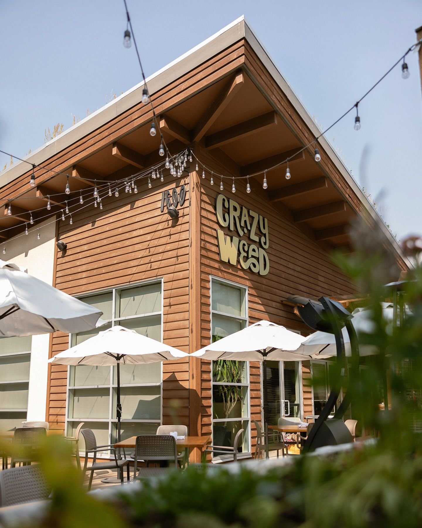 Crazyweed Kitchen restaurant in Canmore, Canada