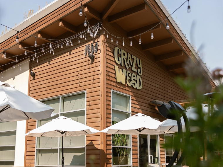 Crazyweed Kitchen, Canmore, Canada