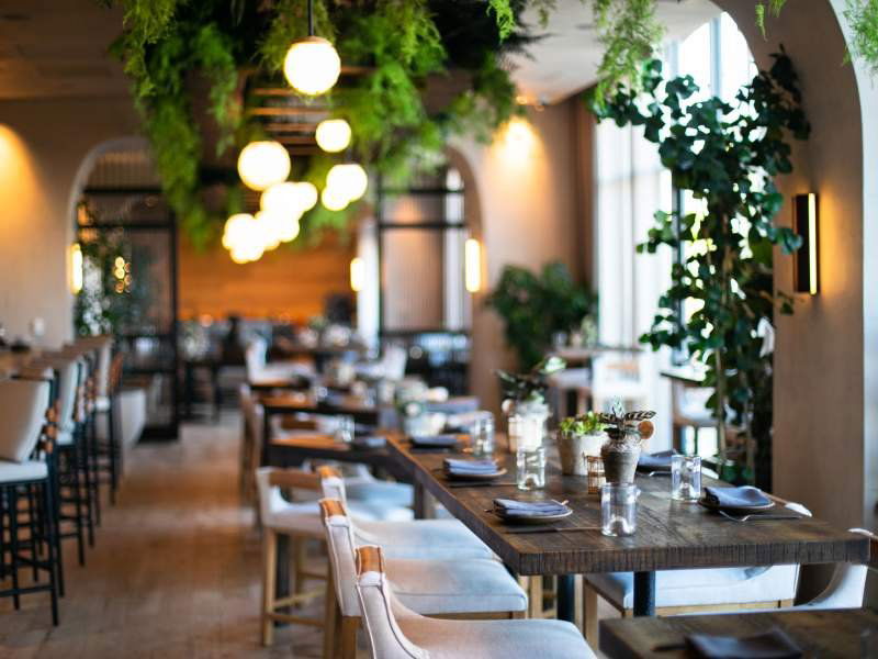 Terrene, Restaurant in San Francisco