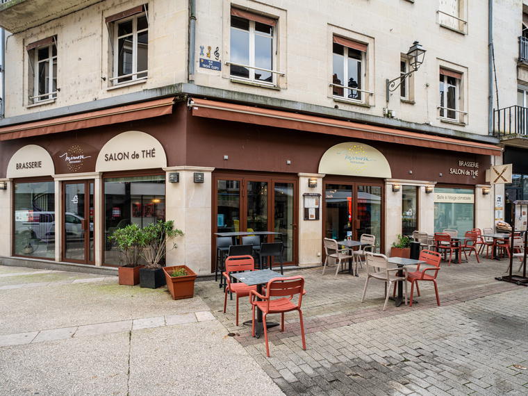 Mimosa, Blois, France