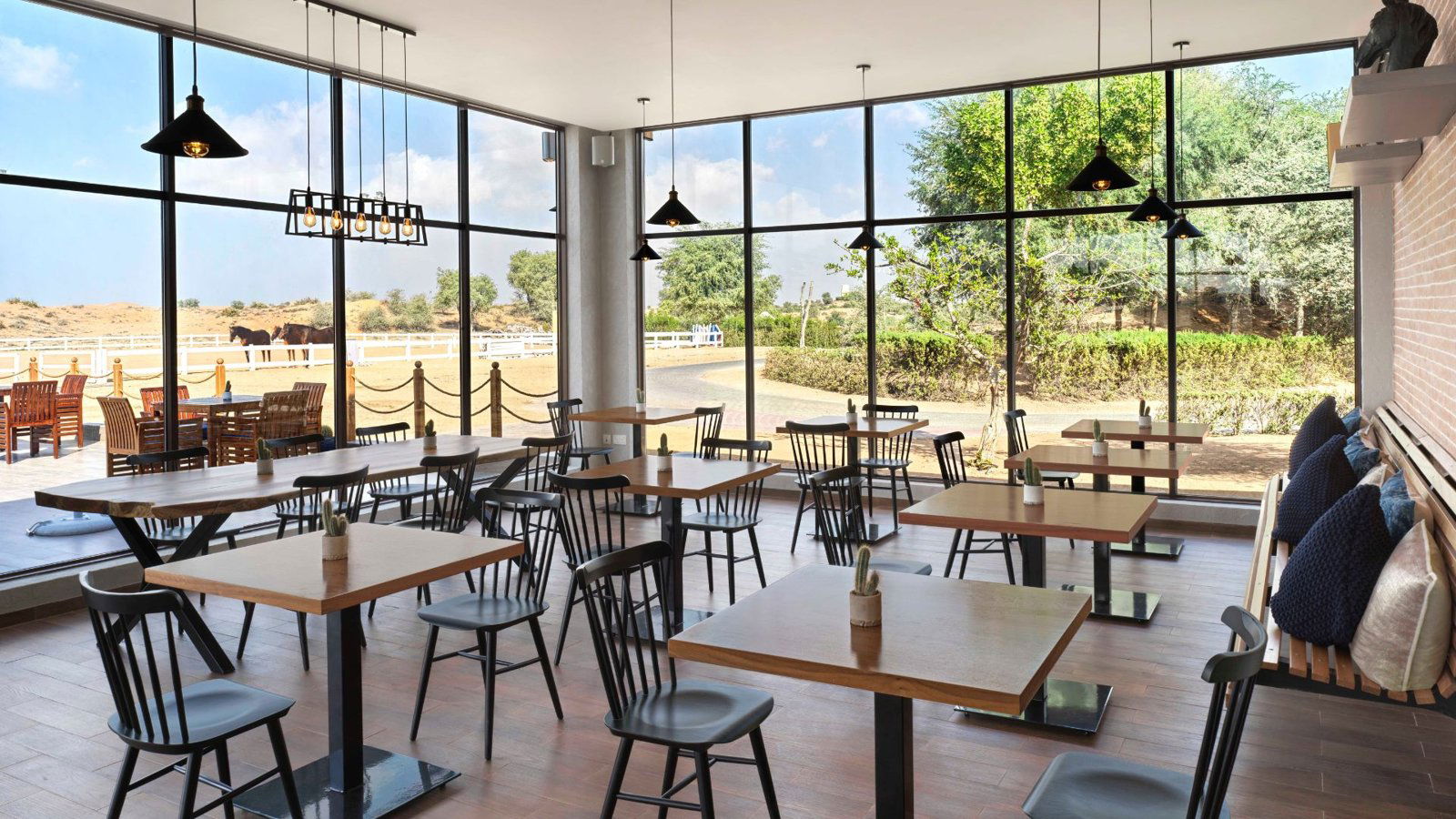 Paddock Cafe, Restaurant in Ras al Khaimah
