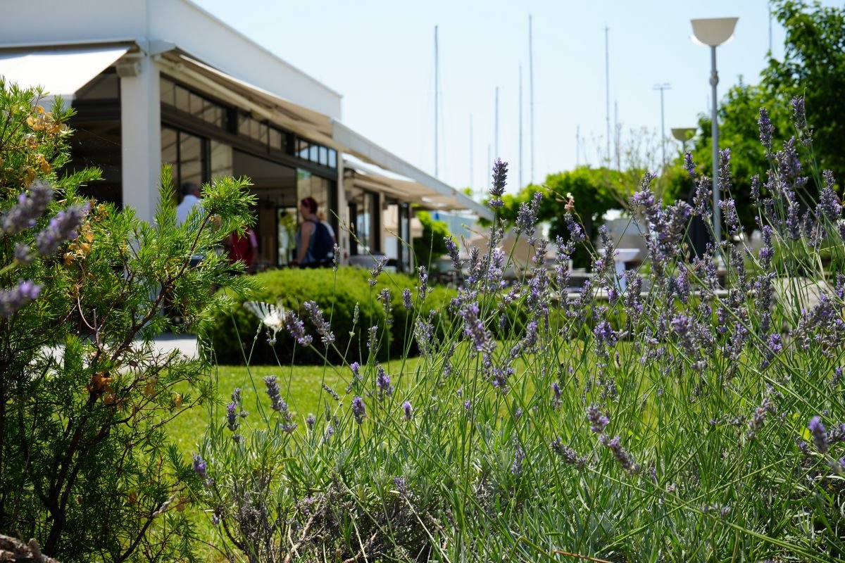 9 Bofora restaurant in Punat