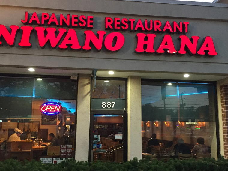 Niwano Hana, Rockville, United States