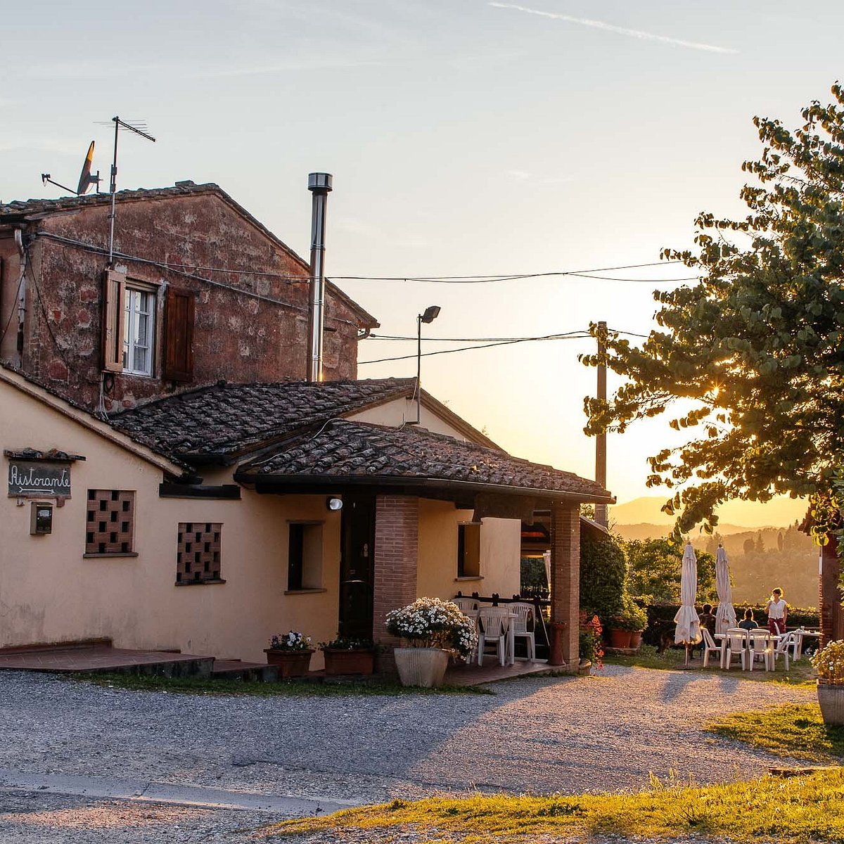 Fattoria Collebrunacchi