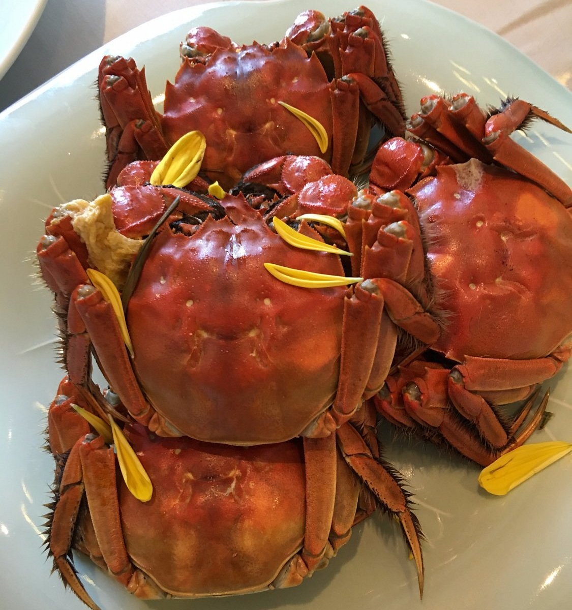 ChengLongHang · YiFeng Garden （HongQiao Branch） restaurant in Shanghai