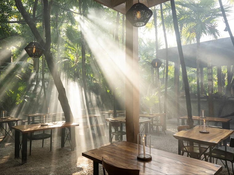 Arca, Tulum, Mexico