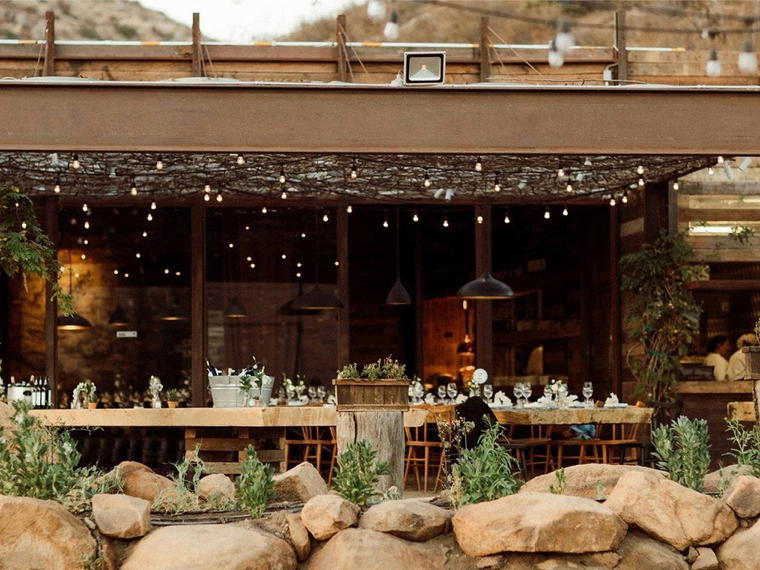 Fauna, Valle de Guadalupe, Mexico