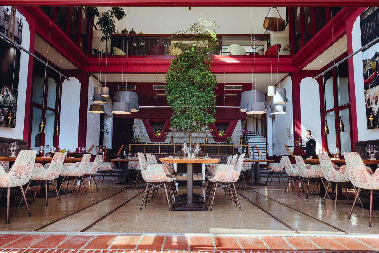 La Coopérative - Domaine Riberach restaurant in Bélesta
