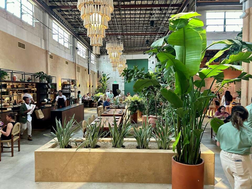 Mezquite, San Antonio, United States