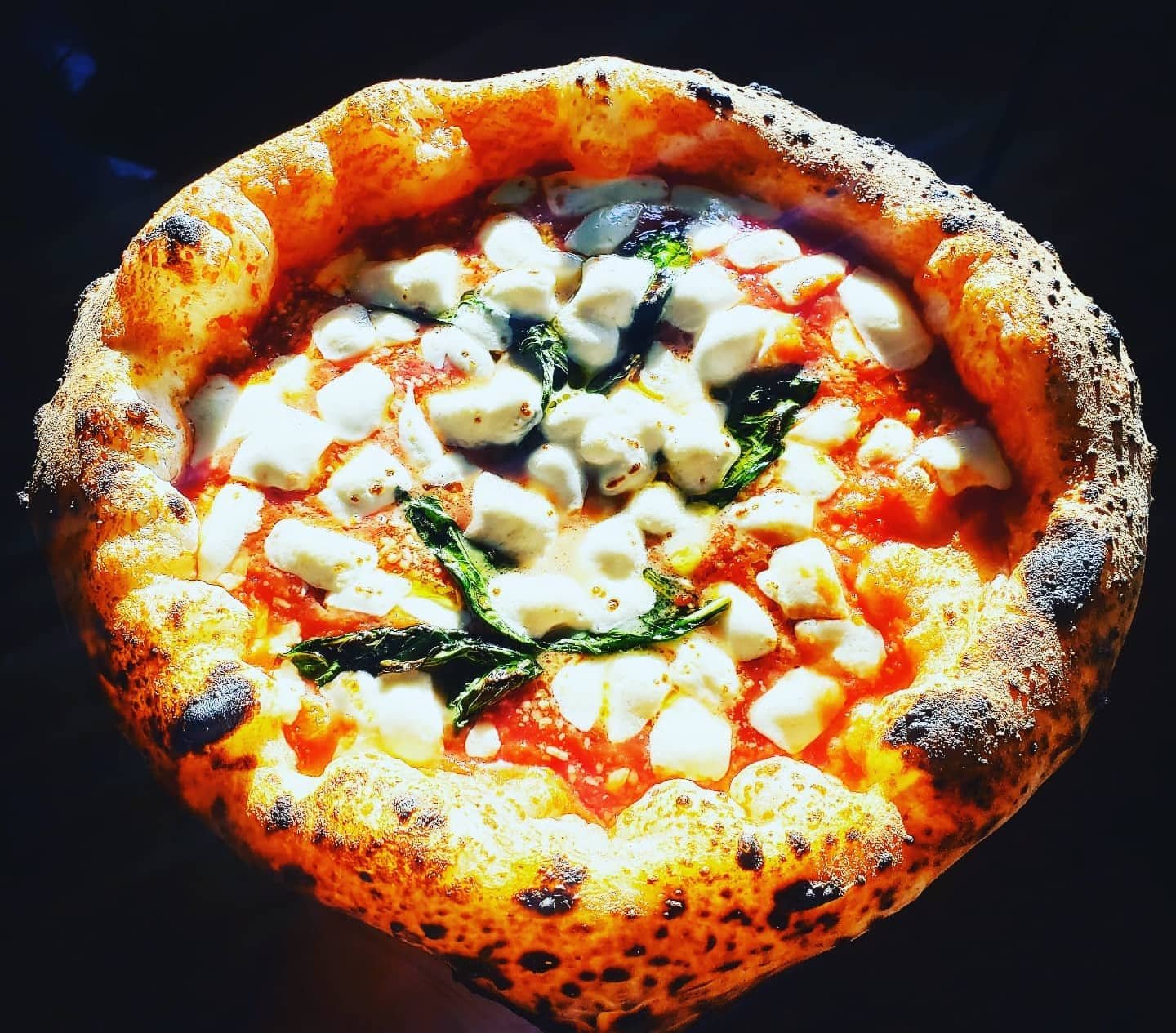 MPN – Mission Pizza Napoletana restaurant in Winston-Salem, United States