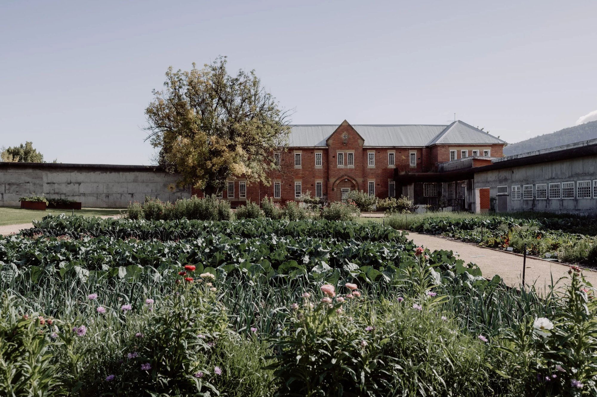 Agrarian Kitchen, Restaurant in Hobart