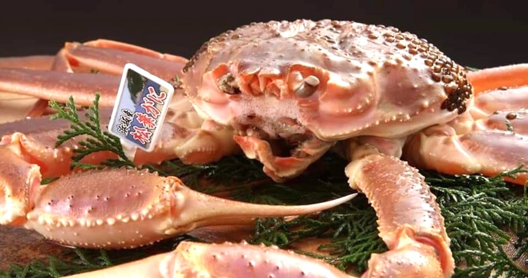 Kaniyoshi, Restaurant in Tottori