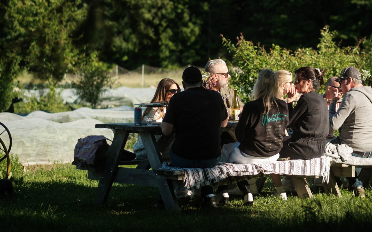 Parcelles restaurant in Austin, Canada