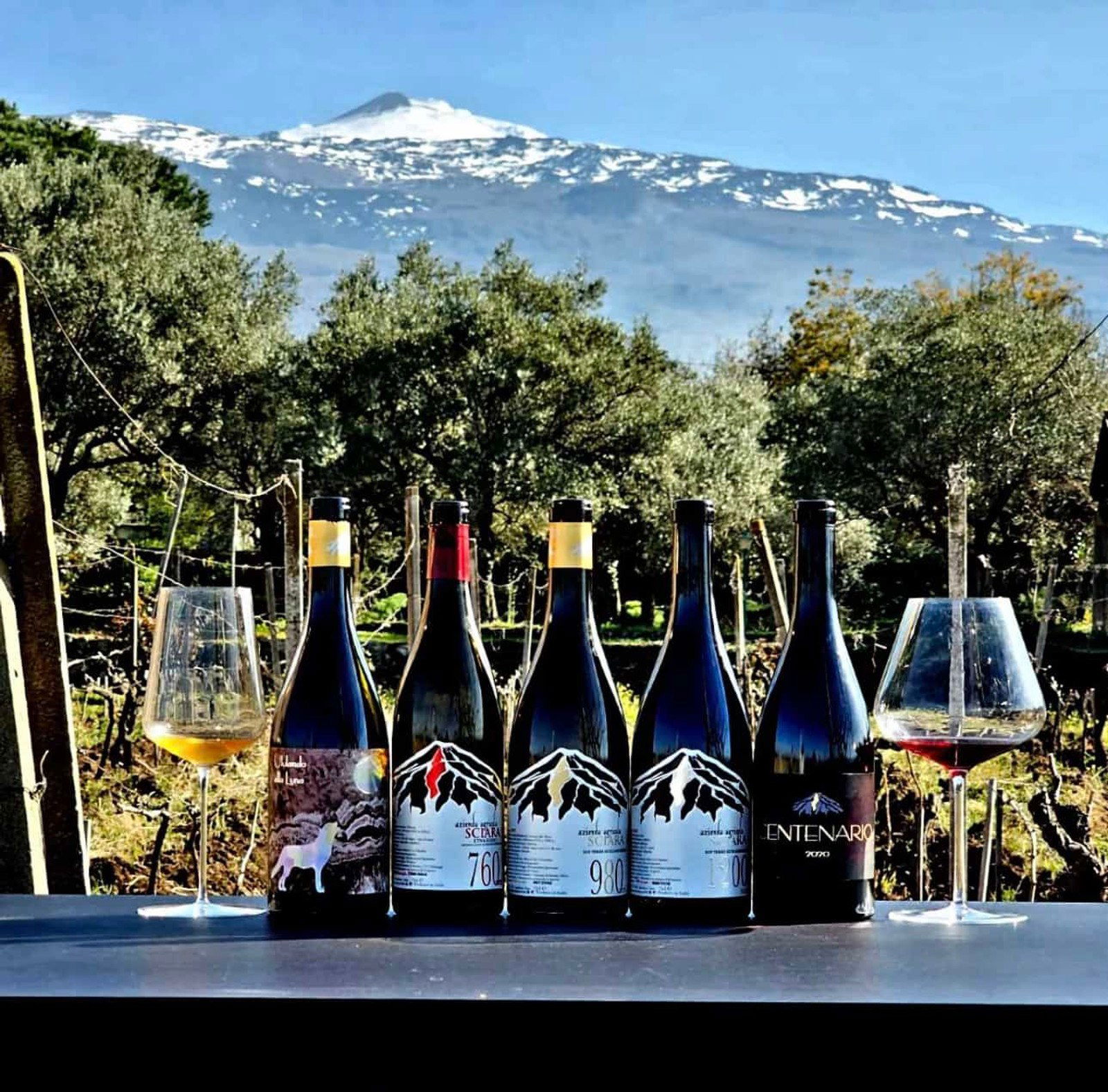 Azienda Agricola Sciara, Winery in Randazzo