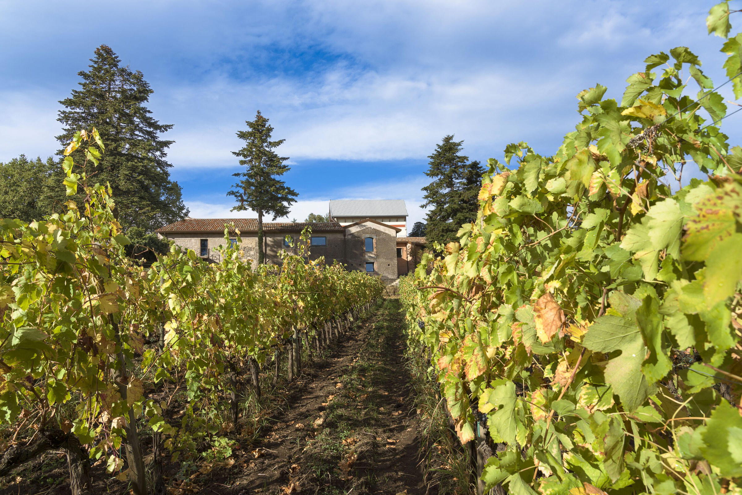 Cottanera winery in Castiglione di Sicilia